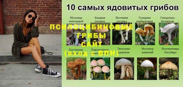 бутират Богородицк